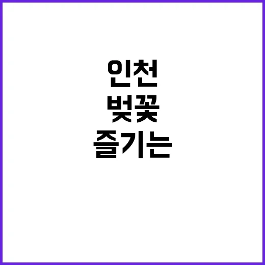 인천에서 벚꽃을 가장 아름답게 즐기는 방법