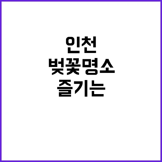 인천 벚꽃 명소를 …