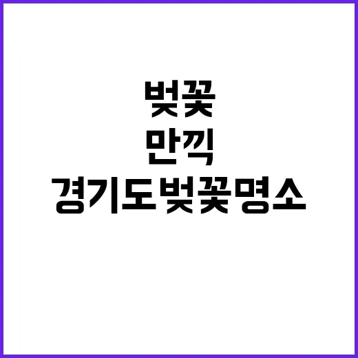 경기도 벚꽃 명소를…