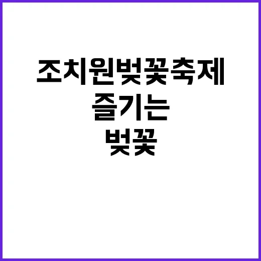 조치원 벚꽃축제를 …