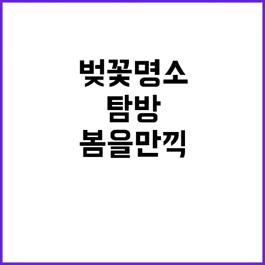 봄을 만끽하려면 이…