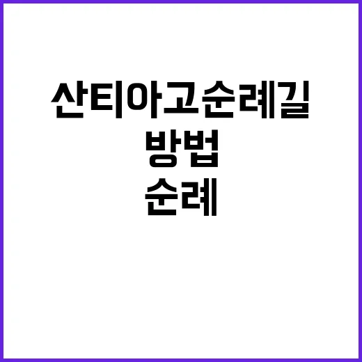 산티아고 순례길을 …