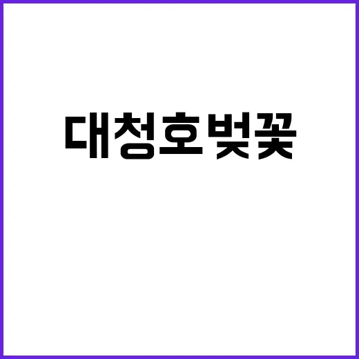 대청호 벚꽃을 만끽하는 방법: 최고의 여행 팁