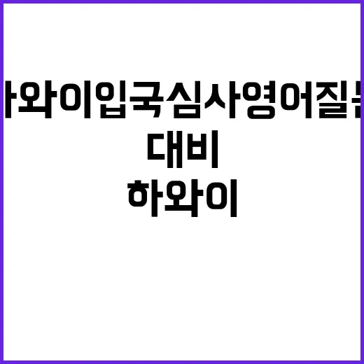 하와이 입국 심사 …