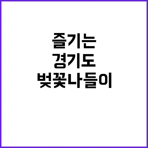 경기도에서 벚꽃 나들이를 즐기는 방법