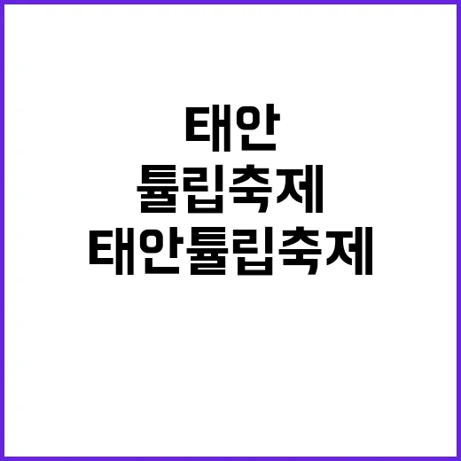 태안 튤립축제를 즐기는 방법