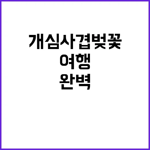 개심사 겹벚꽃을 만…