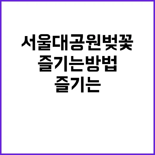서울대공원 벚꽃을 …