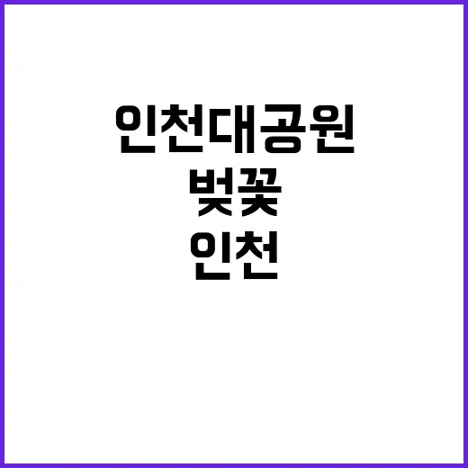 인천대공원 벚꽃을 …