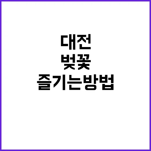 대전에서 벚꽃을 즐기는 방법