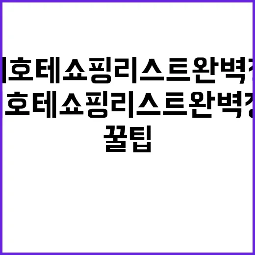돈키호테 쇼핑리스트…