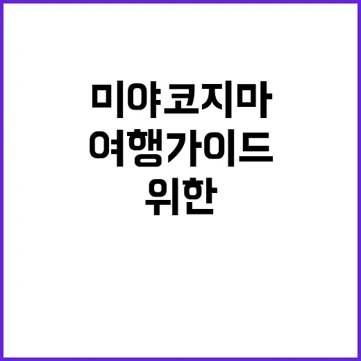미야코지마를 완벽히 즐기는 방법: 초보자를 위한 여행 가이드
