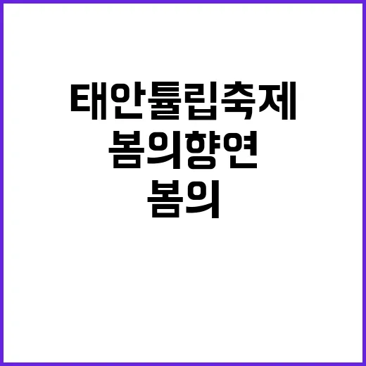 태안 튤립축제 즐기는 방법: 봄의 향연을 만끽하세요