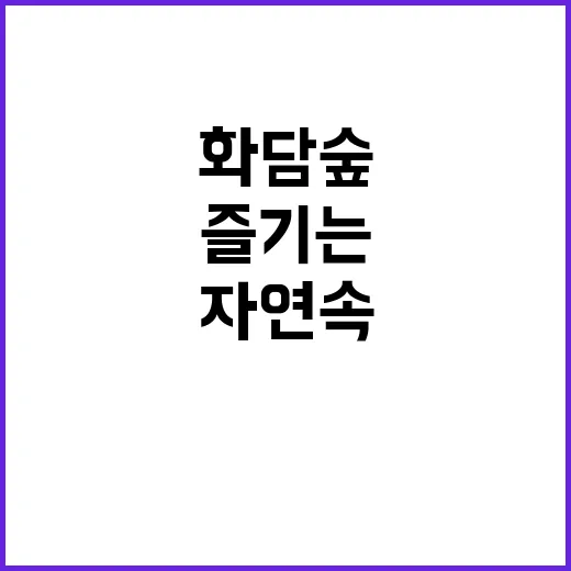 화담숲을 즐기는 방…