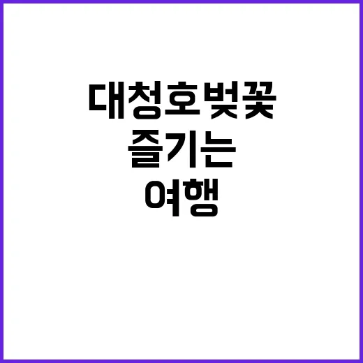 대청호 벚꽃 여행을…