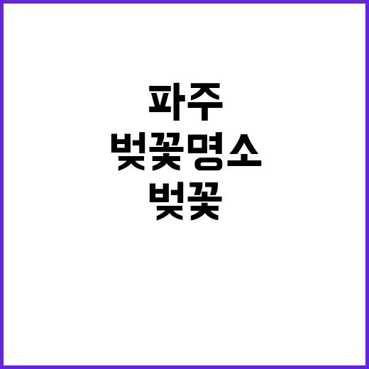파주 벚꽃 명소를 …