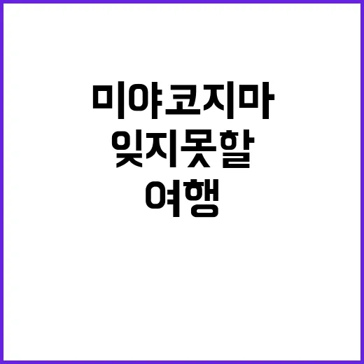 미야코지마에서 잊지…