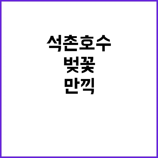 석촌호수에서 벚꽃을…