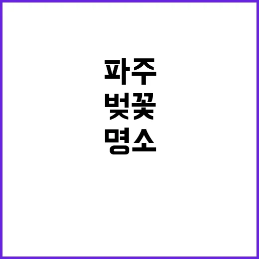 파주 벚꽃 명소를 …