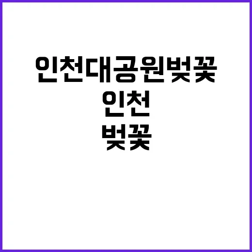 인천대공원 벚꽃 구…