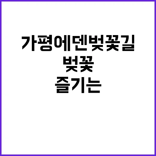 가평 에덴벚꽃길을 …