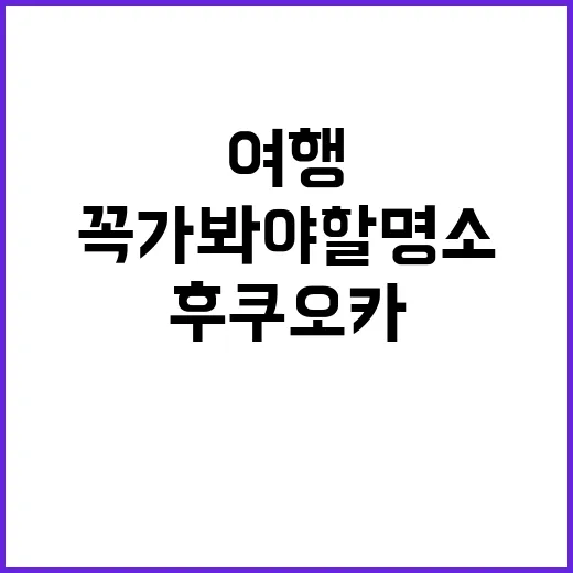 후쿠오카 여행: 꼭 가봐야 할 명소와 숨겨진 보석들 찾는 방법