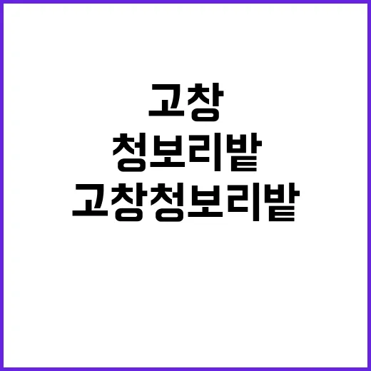 고창 청보리밭에서 …