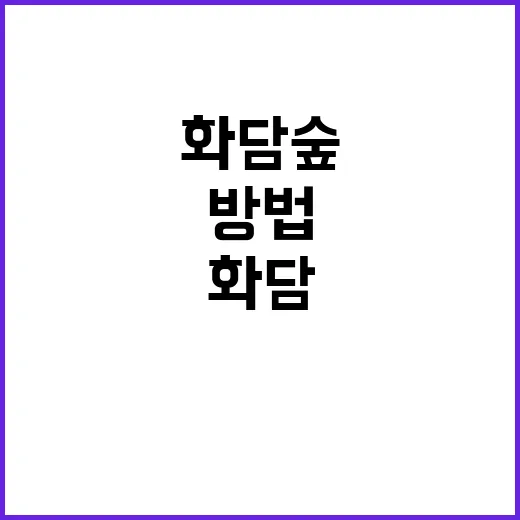 화담숲을 완벽히 즐…