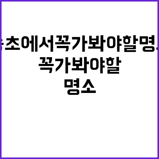 속초에서 꼭 가봐야 할 명소를 탐험하는 방법