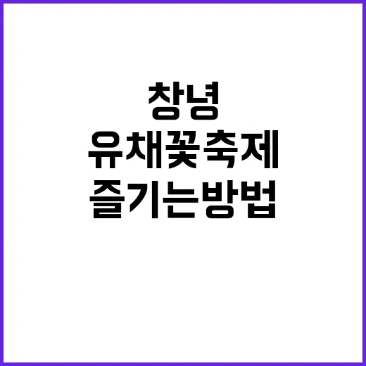 창녕 유채꽃 축제를…