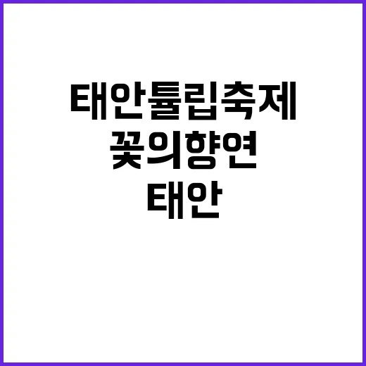 태안 튤립축제를 즐…