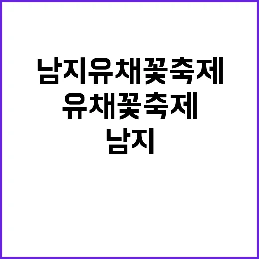 남지 유채꽃 축제에…