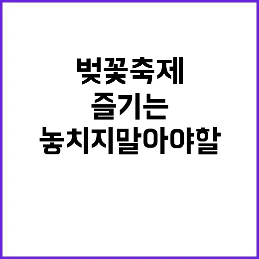 김포 벚꽃축제를 즐…