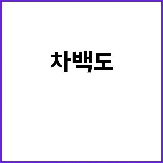차백도를 제대로 즐…