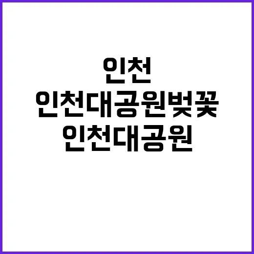 인천대공원 벚꽃을 …