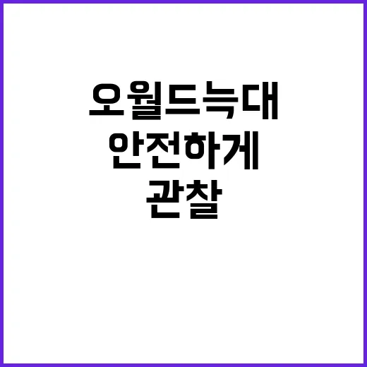 오월드 늑대를 안전…