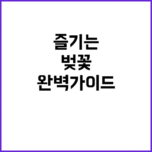 가평 에덴벚꽃길을 …