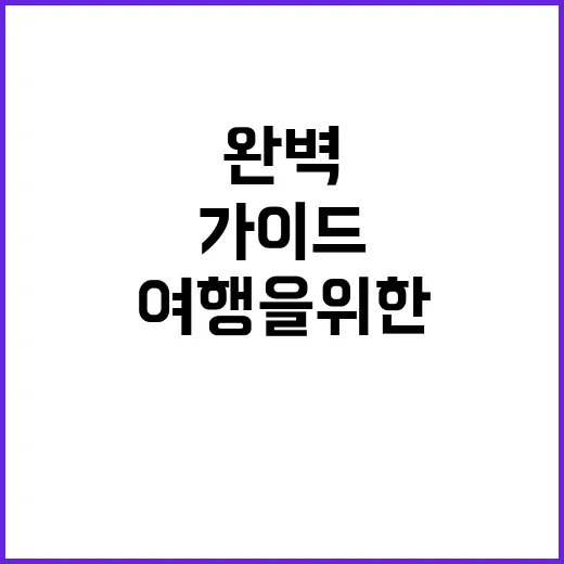대마도를 즐기는 방…