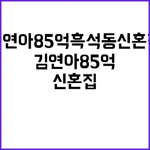 김연아 85억 흑석…