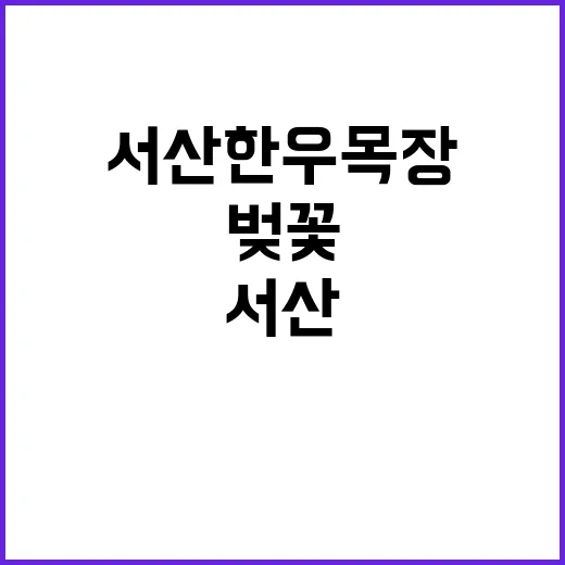 서산 한우목장에서 …