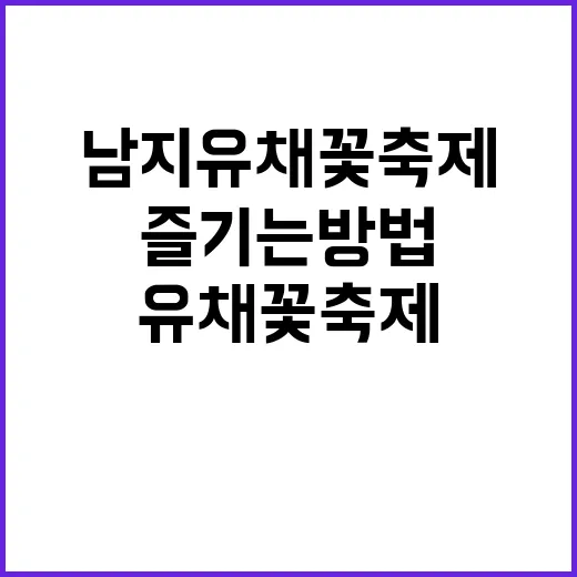 남지 유채꽃 축제를…