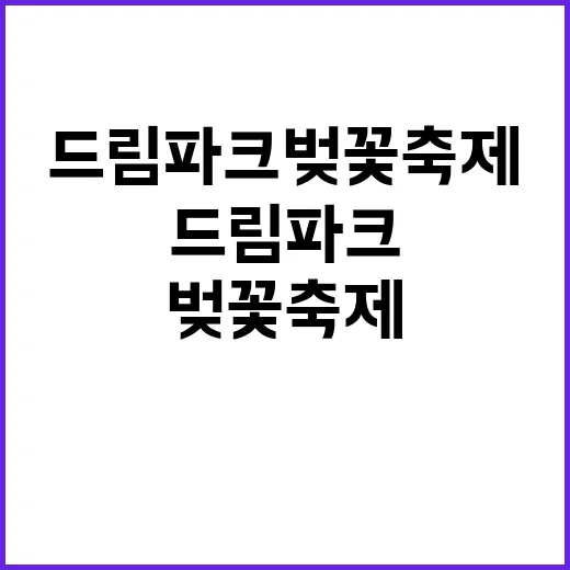 드림파크 벚꽃축제를…