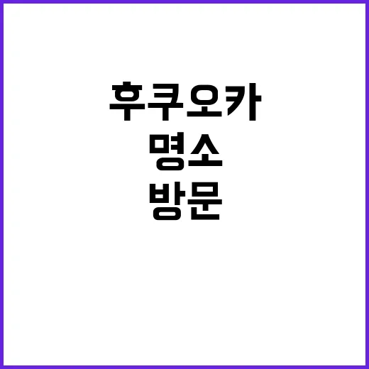 후쿠오카에서 꼭 방…