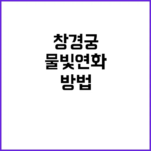 창경궁 물빛연화 경…
