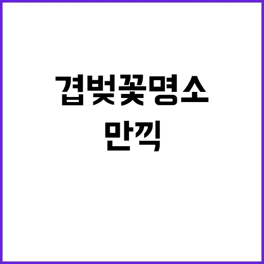 겹벚꽃 명소에서 봄…