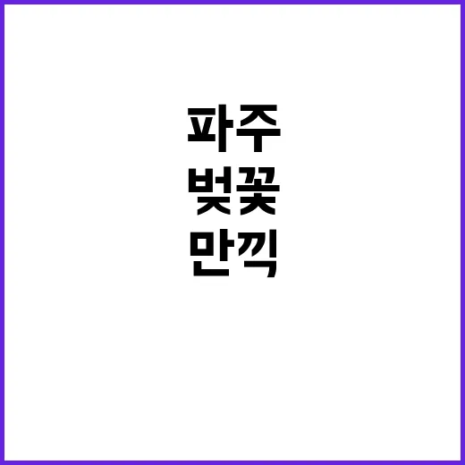 파주에서 벚꽃을 만끽하는 방법