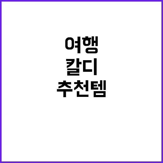 칼디 추천템으로 여행을 더욱 즐겁게 하는 방법