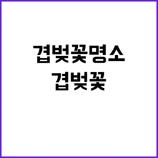 봄을 더욱 화려하게…