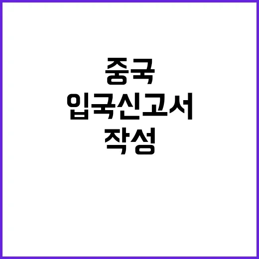 중국 전자입국신고서…