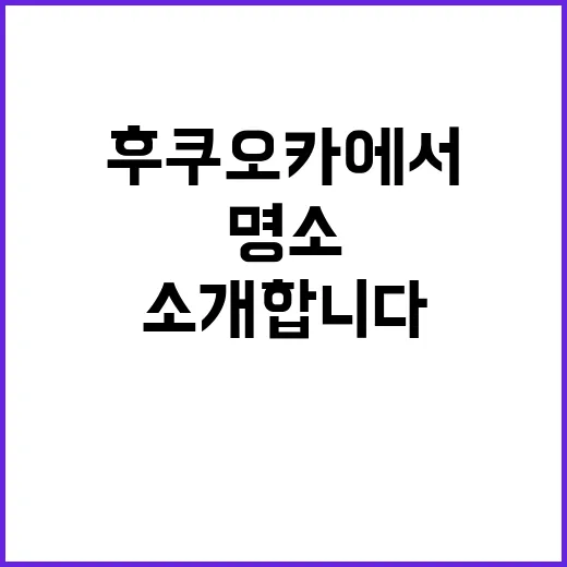 후쿠오카에서 꼭 방…